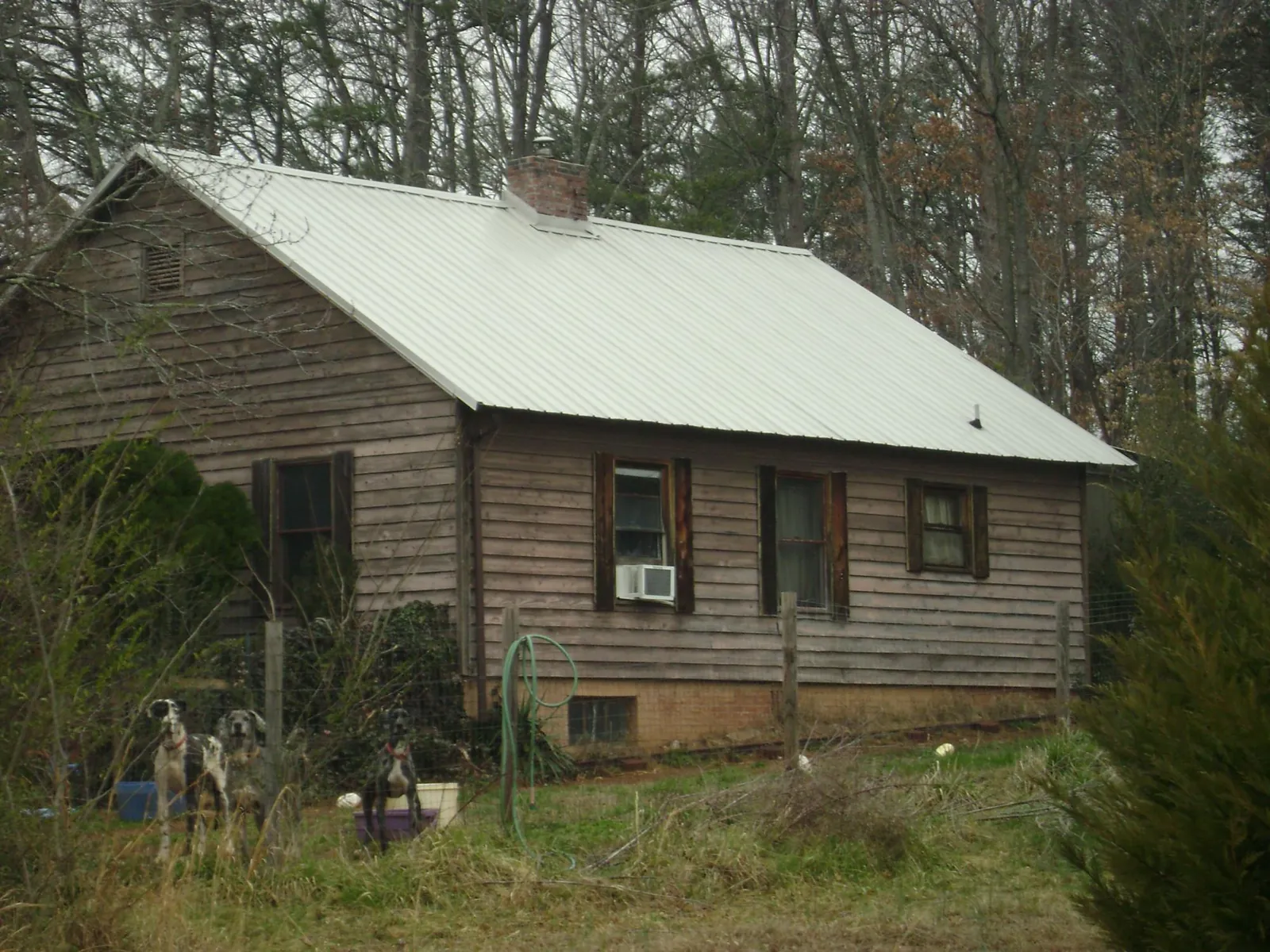 White metal roof on an old wood sided farmhouse, from a Asphalt Shingle Roof Repair job in Vanderbilt